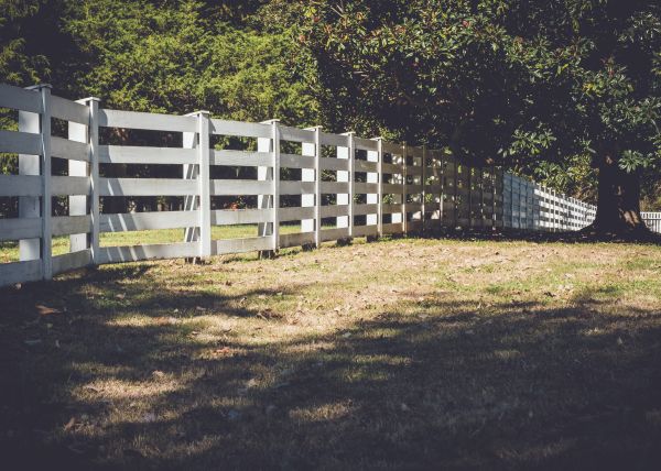 Split Rail Fence Renovation